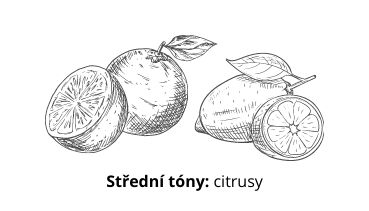 vůně svíčky citrusy